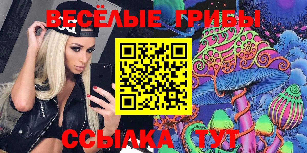 Рязань  Псилоцибиновые грибы Cubensis  Вход с VPN 